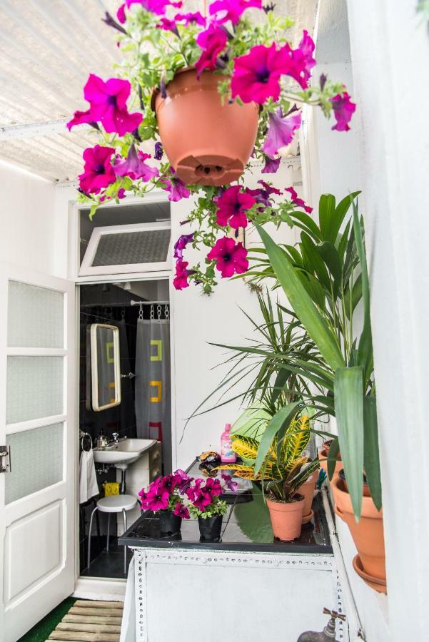 Cosy Flat In City Center Ponta Delgada Exterior foto